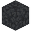 Dead Horn Coral Block