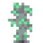 Greenheart Sapling