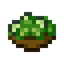 Cucumber Salad