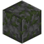 Polished Mossy Cobblestone