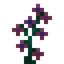Wildflower