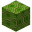 Hexagonical Lime Glazed Terracotta