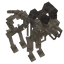 Sheep-Fossil