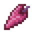Scalefruit