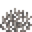 Dead Fire Coral Fan