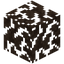 Brown Zelkova Leaves
