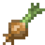 Onion