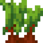 Wild Beetroots
