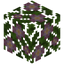 Flowering Leaves