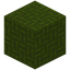 Woved Green Wool