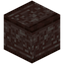 Blank Ancient Debris Carving