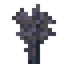 Jabuticaba Sapling