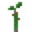 Plantain Sapling
