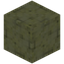 Roen Variant 14