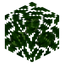 Lime Leaves