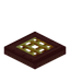 Golden Barred Mangrove Trapdoor