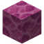 Brain Coral Block