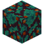 Speckled Warped Wart Block
