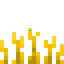 Mycotoxic Grass