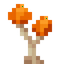 Orange Shimmering Mushroom