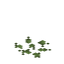 Birch Leaf Pile