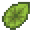 Light Leaf Lily Pad
