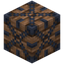 Jungle Planks 8x