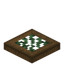 Vined Spruce Trapdoor