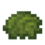 Moss