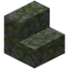 Mossy Stone Stairs