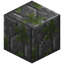 Prismal Mossy Cobblestone Remnants