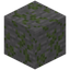 Eroded Mossy Stone Bricks