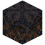 Mycelium 8x