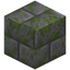 Mossy Stone Bricks