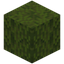 Mossy Dried Kelp Block