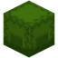 Lime Shulker Box