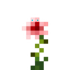 Osiria Rose