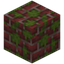 Mossy Scarlet Bricks