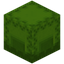 Lime Shulker Box