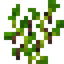 Peppercorns