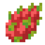 Dragonfruit
