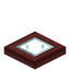 Windowed Mangrove Trapdoor