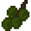Almond Fruit