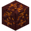 Carved Magma Block