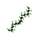 Mini Lights (Diagonal Left)