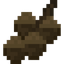 Acorn Fruit