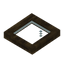 Mangrove Bark Trapdoor