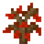 Red Oak Sapling