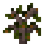 Osange Orange Sapling