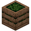 Crate of Green Beans